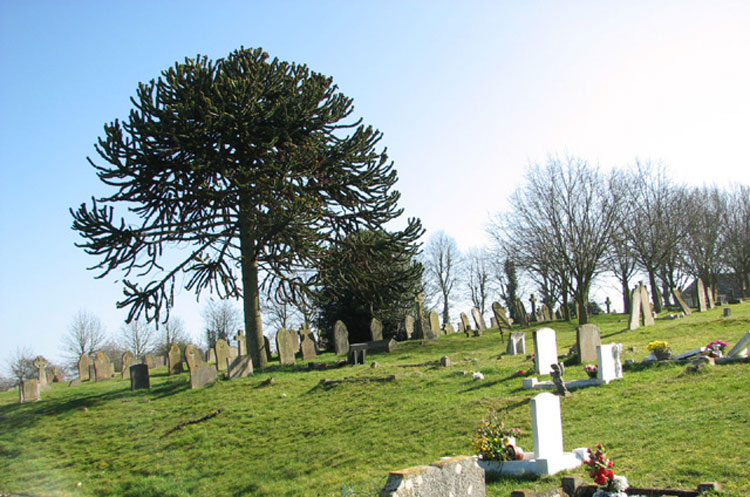 Bungay Cemetery (1)