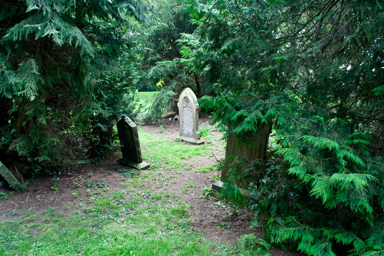 L/Cpl Salmon's headstone (right) AFTER branches and undergrowth had been moved back. Note the hidden headstones on the left of the picture.