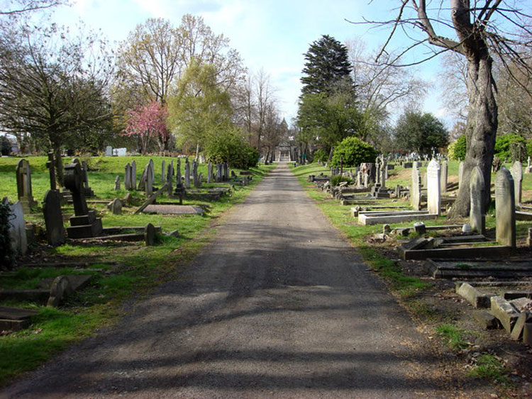 Paddington Old Cemetery, looking northwards towards the chapel