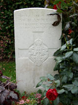 Company Serjeant Major William Henry Andrews. 3/9103