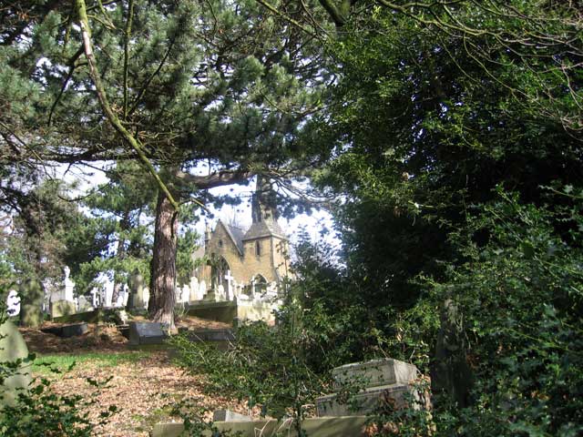 Another view of the large holly bush obscuring Private Wolstenholme's grave, but also showing the cemetery chapel (behind)