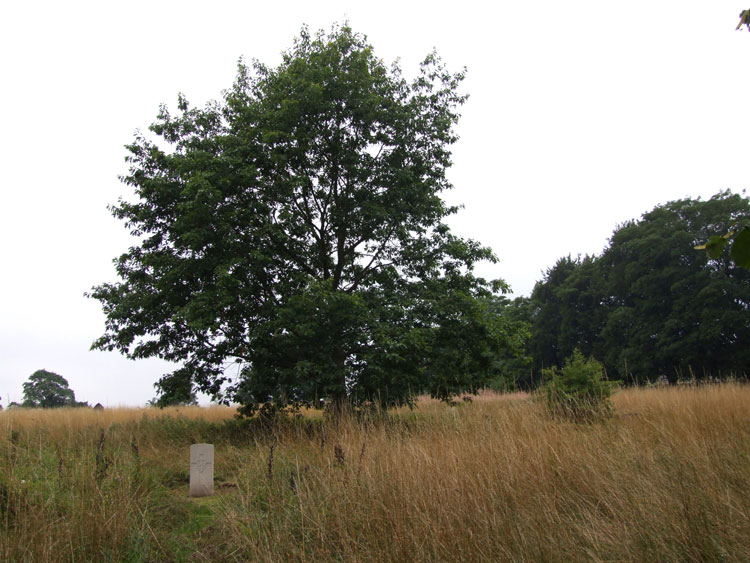 Private Hollingworth's grave in Mirfield (St. Mary) Churchyard 