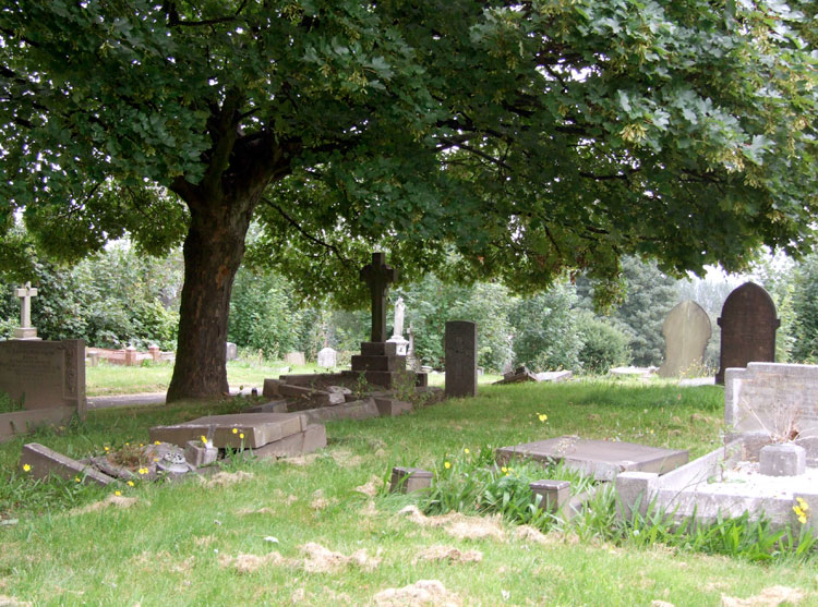 A view of Sheffield (Burngreave) Cemetery with Serjeant Brown's grave under the tree.