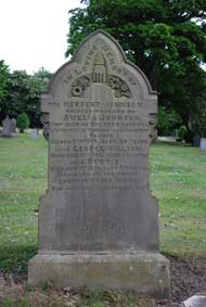 Johnson Family Headstone
