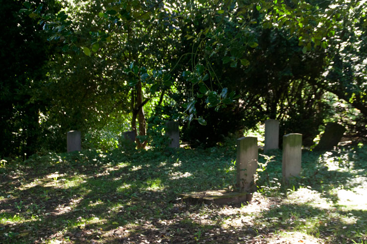 A view from the pathway of Wittion Gilbert Churchyard's CWGC plot