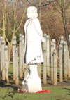 National Memorial Arboretum (Alrewas, Staffs)