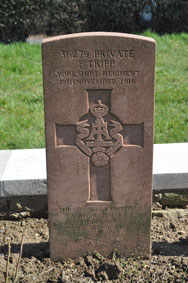 Private Frank Tripp. 36279.