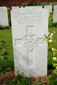 Private Frederick Archer Llewellyn. 26625. 