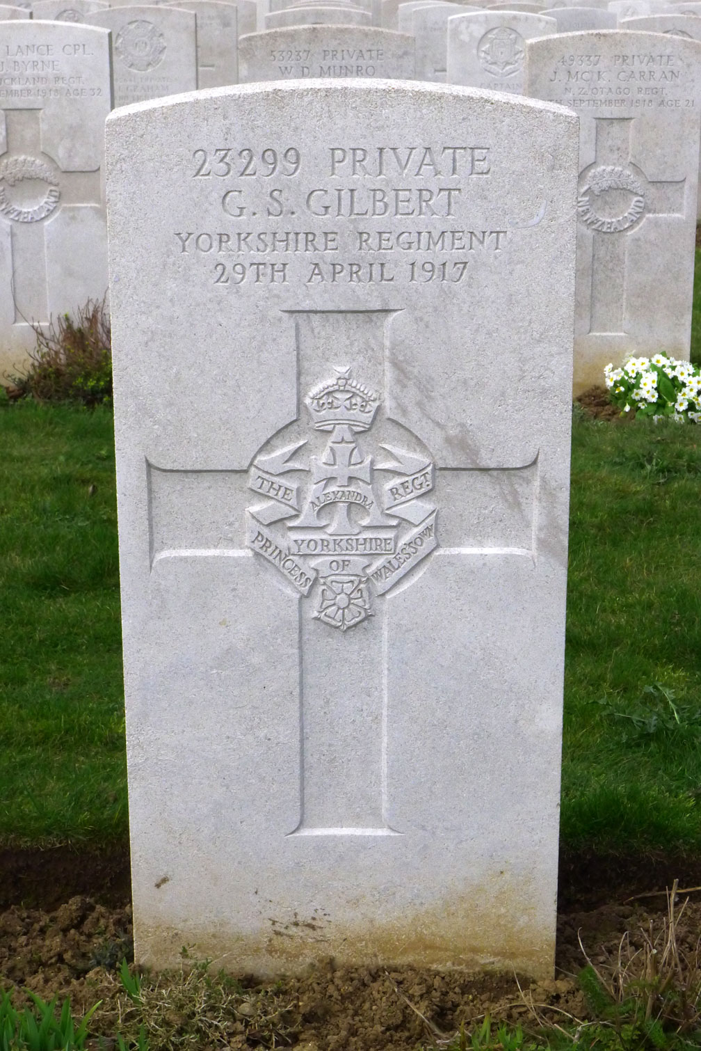 The Yorkshire Regiment War Graves
