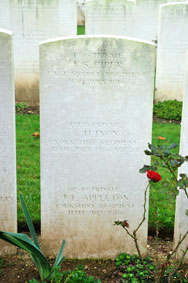Private John Ernest Appleton. 11545.