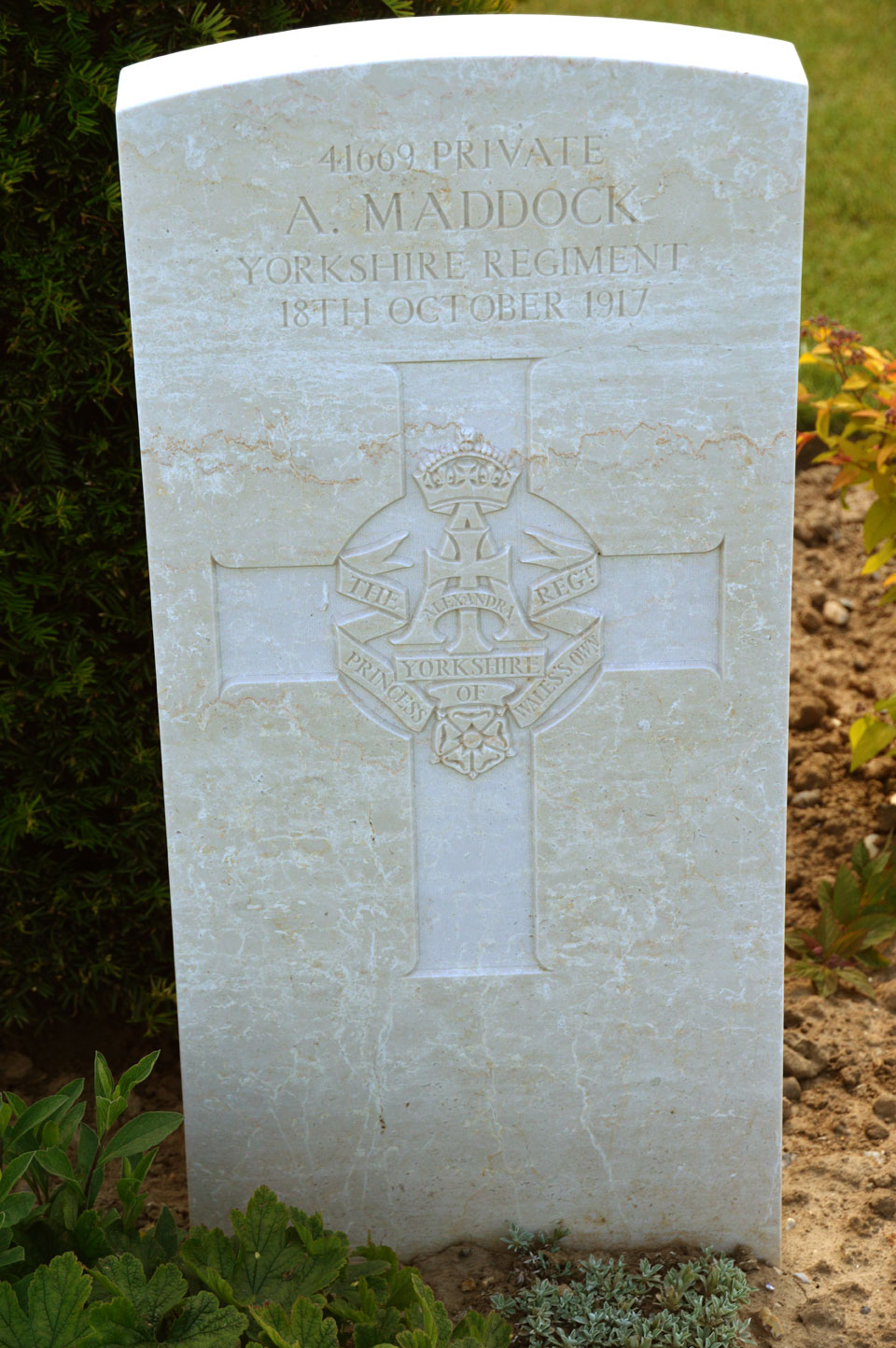 The Yorkshire Regiment War Graves