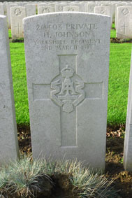 Private Herbert Johnson. 20403.
