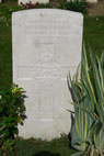Private William Emmerson. 204066