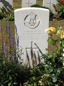 Private William Thomas Taylor. 5709. 