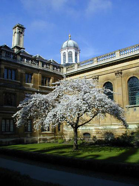 The Chapel, Clare College (Cambridge)