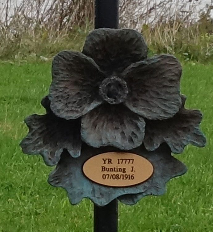 One of the Commemorative Poppies on Terrace Green, Seaham