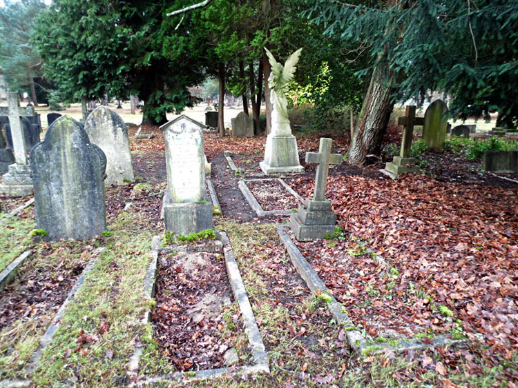 Private Henry Bothwell#s Grave in Brookwood Cemetery, - the Bothwell Family Grave is the Central Plot on the Right.