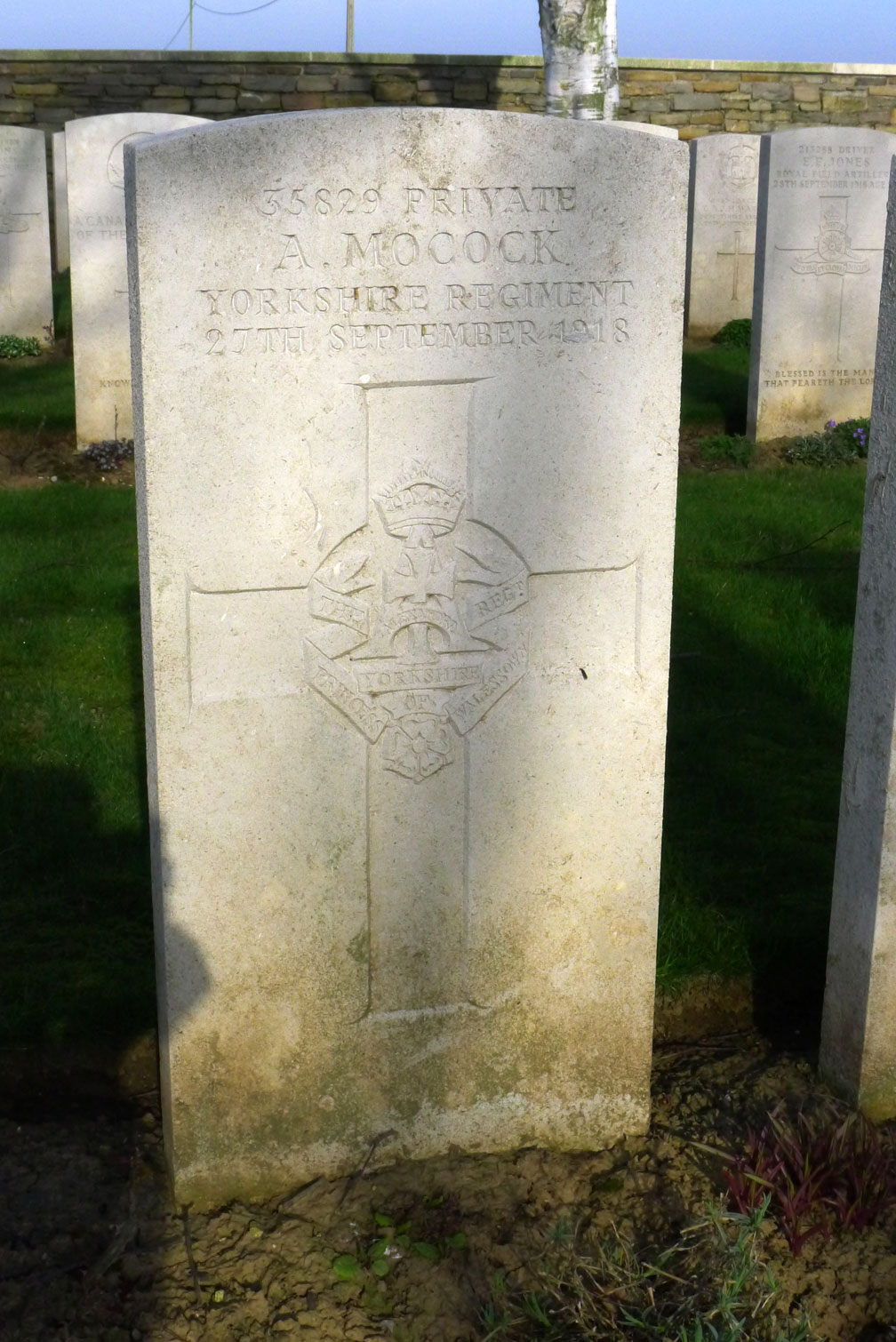 The Yorkshire Regiment War Graves
