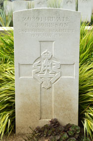 Private George Alfred Robinson. 20391. 